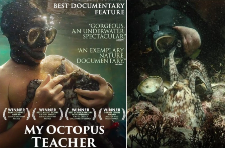 My Octopus Teacher belgesel önerisi